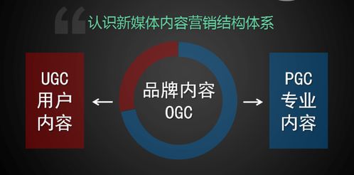 學習新媒體運營，把握互聯(lián)網(wǎng)銷售新機遇
